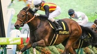 【CBC賞予想】上位人気2頭を消去 力や状態が疑われるデータとは？/JRAレース展望 