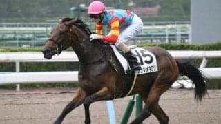 【小倉5R新馬戦結果】シュンメキラリが人気に応えて快勝