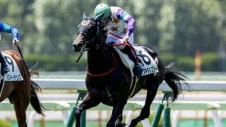 【函館5R新馬戦結果】カワキタレブリーがゴール前で差し切りV