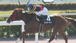 【プロキオンS想定】今年は小倉1700m　ワイドファラオ、ウェスタールンドなど23頭