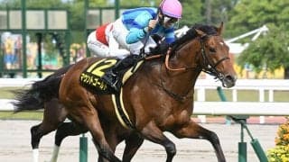 【七夕賞想定】ショウナンバルディは岩田康誠騎手、マウントゴールドは岩田望来騎手