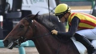 【ラジオNIKKEI賞前日オッズ】ボーデンが5.1倍で1番人気