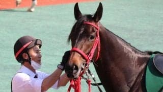 【CBC賞前日オッズ】ヨカヨカが3.2倍で1番人気