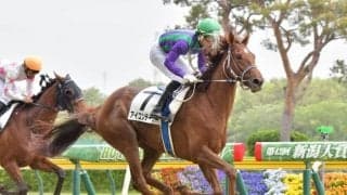 【WIN5予想】ラジオNIKKEI賞は各馬の勝ち鞍に注目したい