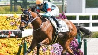 【ラジオNIKKEI賞予想】上位人気混戦も、AIの予測数値は大差を弾き出した/JRAレース展望