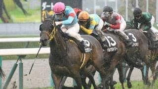 【CBC賞予想】狙いは小回りコースを苦にしない快速馬