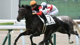 【小倉5R新馬戦結果】良血フィデルが単勝1.1倍の圧倒的人気に応えてV
