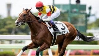 【函館5R新馬戦結果】アルナシームが突き抜け快勝