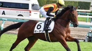 【ラジオNIKKEI賞・馬体重】ボーデンは486kg(+6)、リッケンバッカーは470kg(+4)