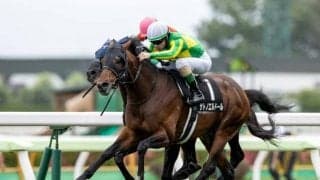 【巴賞結果】サトノエルドールが追い比べを制してV