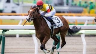 【新馬/函館5R】武豊 アルナシームがデビューV