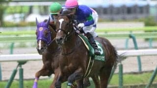 ハンデGIII七夕賞とダートGIIIプロキオンSに注目/今週の競馬界の見どころ