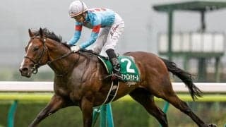 【ラジオNIKKEI賞】売上は59億6778万9000円で昨年からおよそ10億円の増加