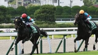 【CBC賞】売上は50億724万1600円で昨年からおよそ1.5億円の減少