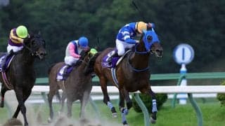 【盛岡・栗駒賞】タイセイブラストが快勝！