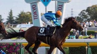 【七夕賞登録馬】マウントゴールドなど17頭