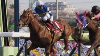 【プロキオンS登録馬】ワイドファラオなど23頭