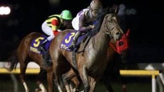 【川崎・スパーキングレディーC枠順確定】テオレーマは5枠5番、サルサディオーネは1枠1番