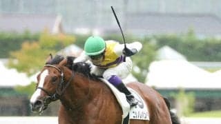 【新馬/福島6R】イスラボニータ産駒がJRA初勝利！ニシノレバンテが逃げ切る