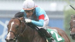 【ラジオNIKKEI賞】丸山「手応えは楽」ヴァイスメテオールが重賞初V