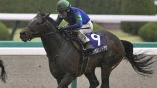 【七夕賞ハンデ確定】クレッシェンドラヴはトップハンデ58.0kg、ワーケアは55.0kg