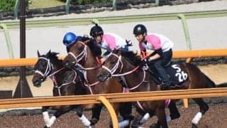 オウケンドーン半妹ビップシュプリームが鮫島克駿騎手でデビュー/関西馬メイクデビュー情報