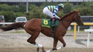 【プロキオンS想定騎手】ワイドファラオは福永祐一騎手、ウェスタールンドは藤岡佑介騎手