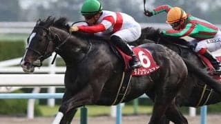 【先週のJRA抹消馬】17年朝日杯FS覇者ダノンプレミアム、前走宝塚記念6着のミスマンマミーアなど