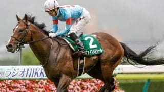 条件付きも「3000mは守備範囲」　スタミナ型のキングカメハメハ産駒・ヴァイスメテオール