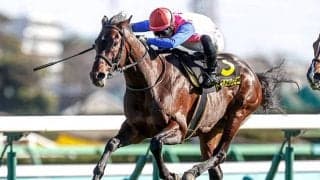 【七夕賞予想オッズ】クレッシェンドラヴが予想1番人気も上位人気は大混戦