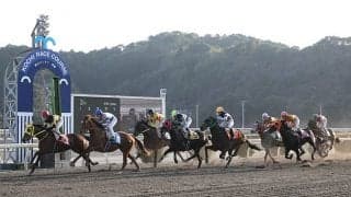 賞金リーディングに異変？ 高知競馬の売上回復の影響はこんなところにも