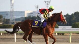 【プロキオンS予想オッズ】ワイドファラオを筆頭に上位は混戦模様