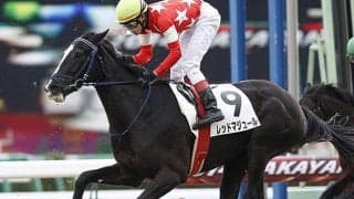 引退馬協会が新たにマンダララを受け入れ「ナイスネイチャ・33歳のバースデードネーション」の寄附金より