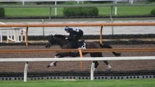 ゴッドセレクションなど、JDD追い切り速報/栗東トレセンニュース