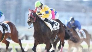 【門別競馬情報】今季グランシャリオナイターも今週から“第2期”スタート。日増しに盛り上がる夏＆秋シーズンも御注目お願いします！今夜メイン12Rは「アニマルキングダム賞」/地方競馬情報
