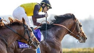 【函館記念想定】フェブラリーS覇者カフェファラオ、前走大差Vマイネルウィルトスなど