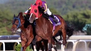 【マーキュリーC】地元岩手の出走予定馬が発表　JRAヒロイックテイルはM.デムーロ騎手