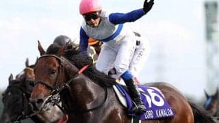 仏のセリに“異色のロードカナロア産駒”が上場！ 豪華面々揃う「ドーヴィル1歳セール」