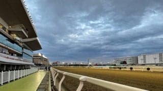 【スパーキングレディーC】テオレーマは5枠5番