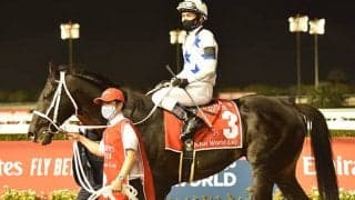 チュウワウィザードが全治3ヶ月以上の剥離骨折　昨年のJRA賞最優秀ダートホース