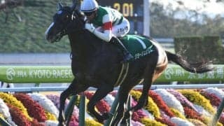 【七夕賞出走馬・騎手確定】クレッシェンドラヴ＆内田博幸、クラージュゲリエ＆吉田隼人など16頭