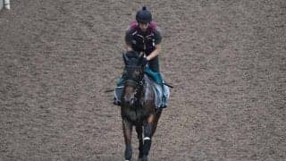 【JRA新馬戦】ドレッドノータスの全弟グランディアなどがデビュー