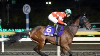 【JRA】昨年のクイーンSの覇者レッドアネモスが繁殖入りへ