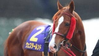 【プロキオンS出走馬・騎手確定】ウェスタールンド＆藤岡佑介、ダノンスプレンダー＆川田将雅など16頭