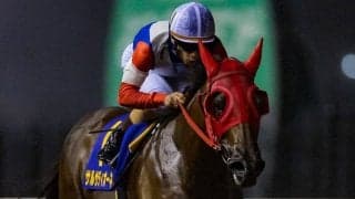 【スパーキングレディーC】矢野貴「気持ち良かった」サルサディオーネが圧勝！