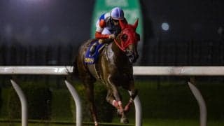 【スパーキングレディーC】サルサディオーネが6馬身差圧勝！