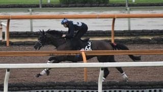 【大井・JDD】選定馬更新 JRA所属全出走馬の騎乗予定騎手決定