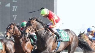 サトノティターンが競走馬登録抹消