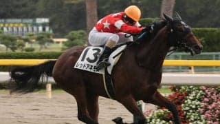 レッドアネモスが競走馬登録抹消