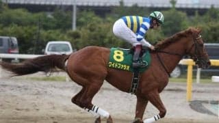 【プロキオンS枠順確定】ワイドファラオは4枠8番、ウェスタールンドは5枠9番